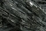 Black Tourmaline (Schorl) Crystal Cluster - Namibia #363668-1